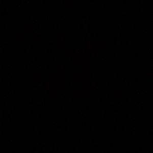 Meet your Posher, Kaitlin